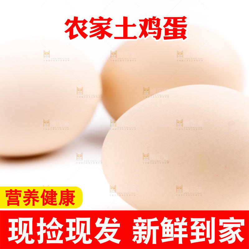 白底上的柴鸡蛋