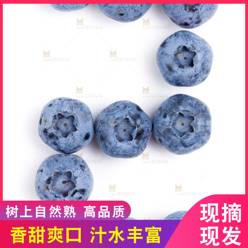 浅底上放着蓝莓果