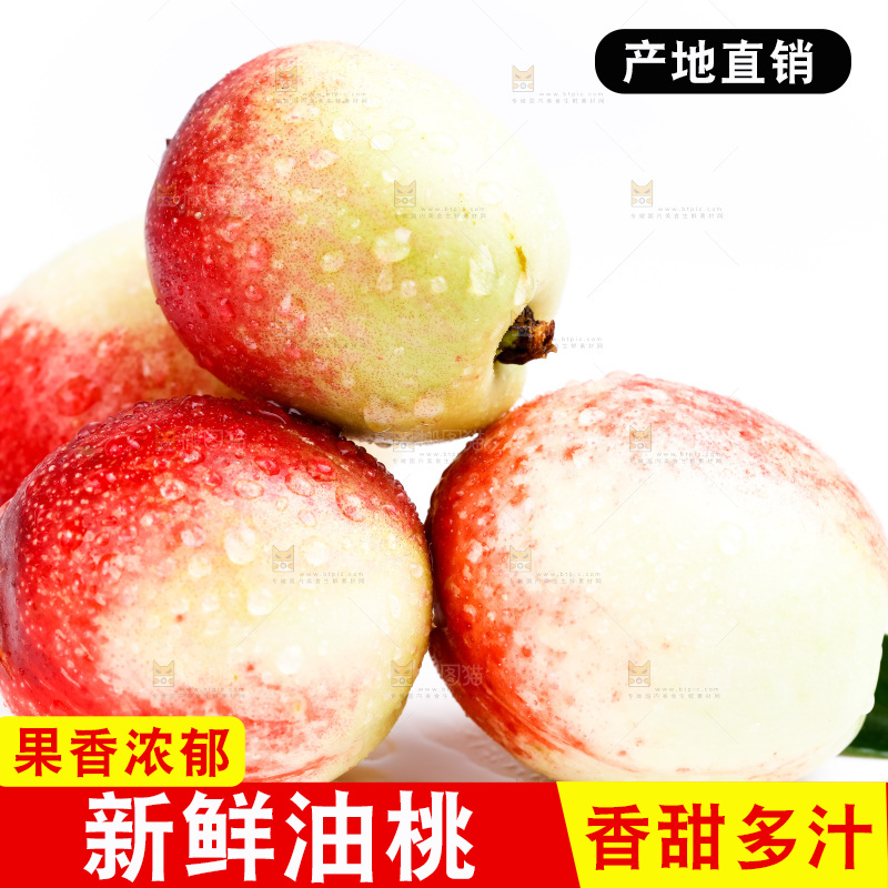 白底上的新鲜油桃