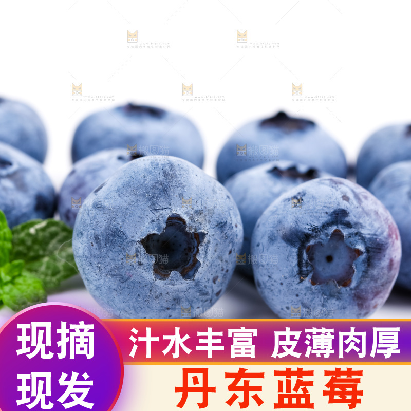 浅底上放着蓝莓果