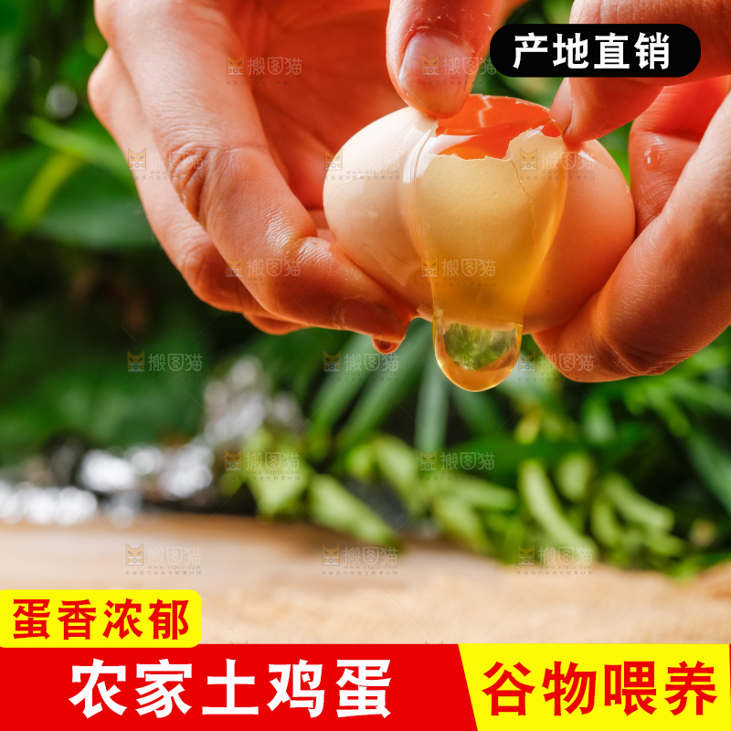 手拿新鲜土鸡蛋