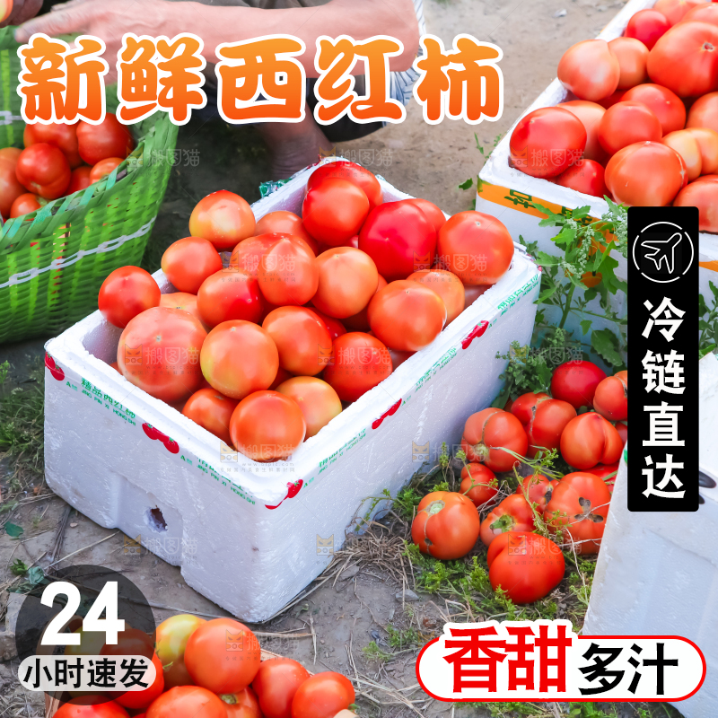 箱子里装着西红柿