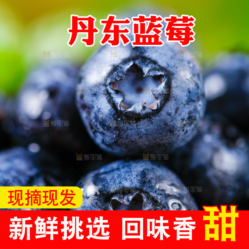 袋子里装着新鲜蓝莓
