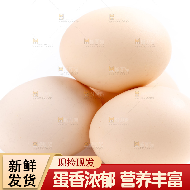 白底上的柴鸡蛋
