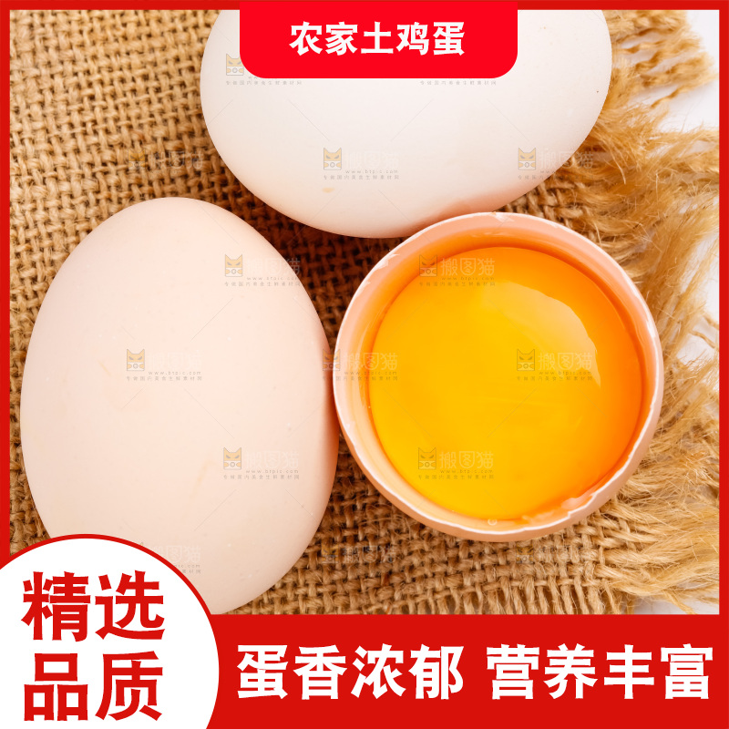 白底上的柴鸡蛋