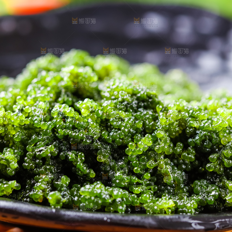 碗里装着长寿菜