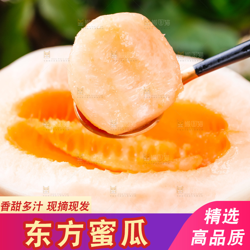 勺子里装着山东东方蜜瓜
