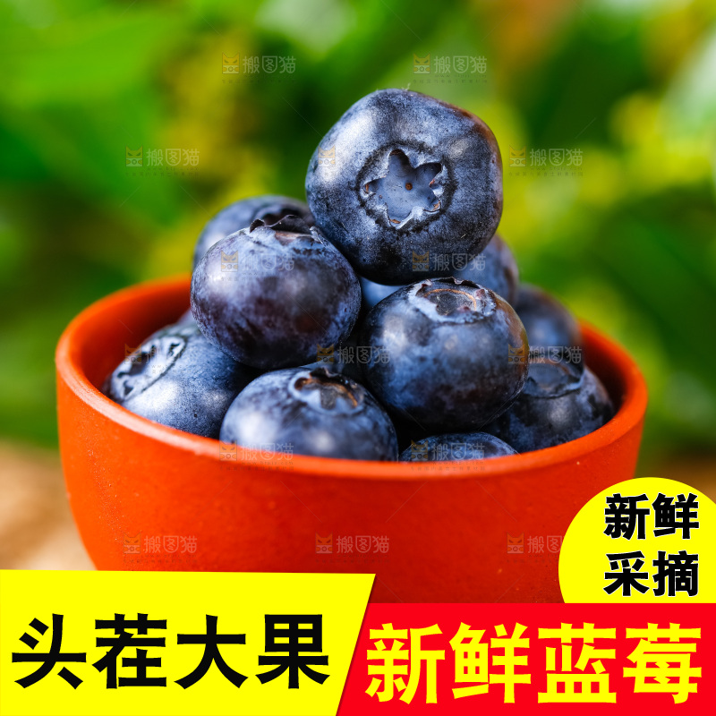 碟子里装着新鲜蓝莓
