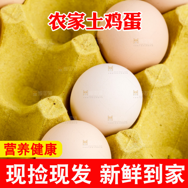 新鲜土鸡蛋放在白底上