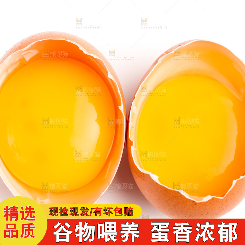 白底上放着散养鸡蛋