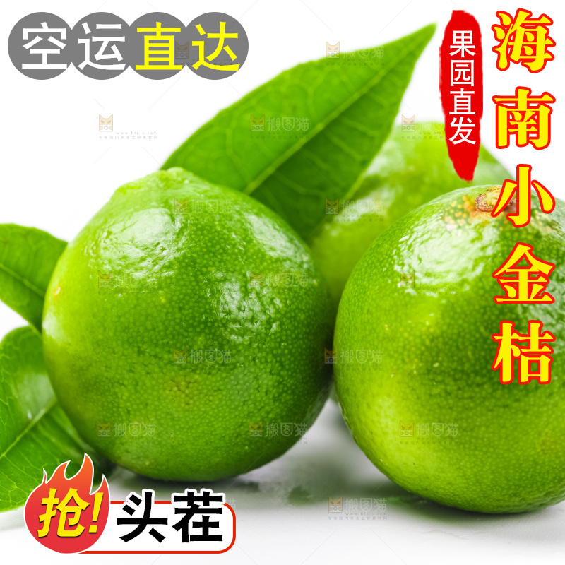 浅底上放着海南小金桔