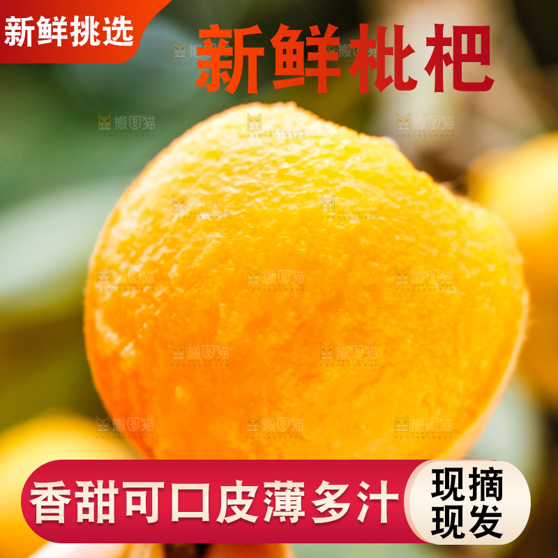 手里拿着枇杷果