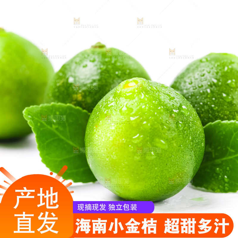 浅底上放着海南小金桔