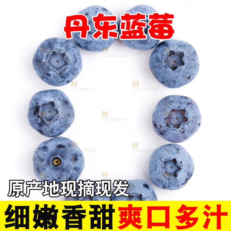 浅底上放着蓝莓果