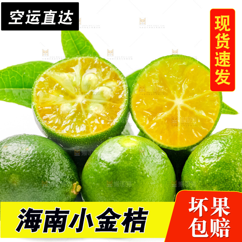 白底上放着小金桔