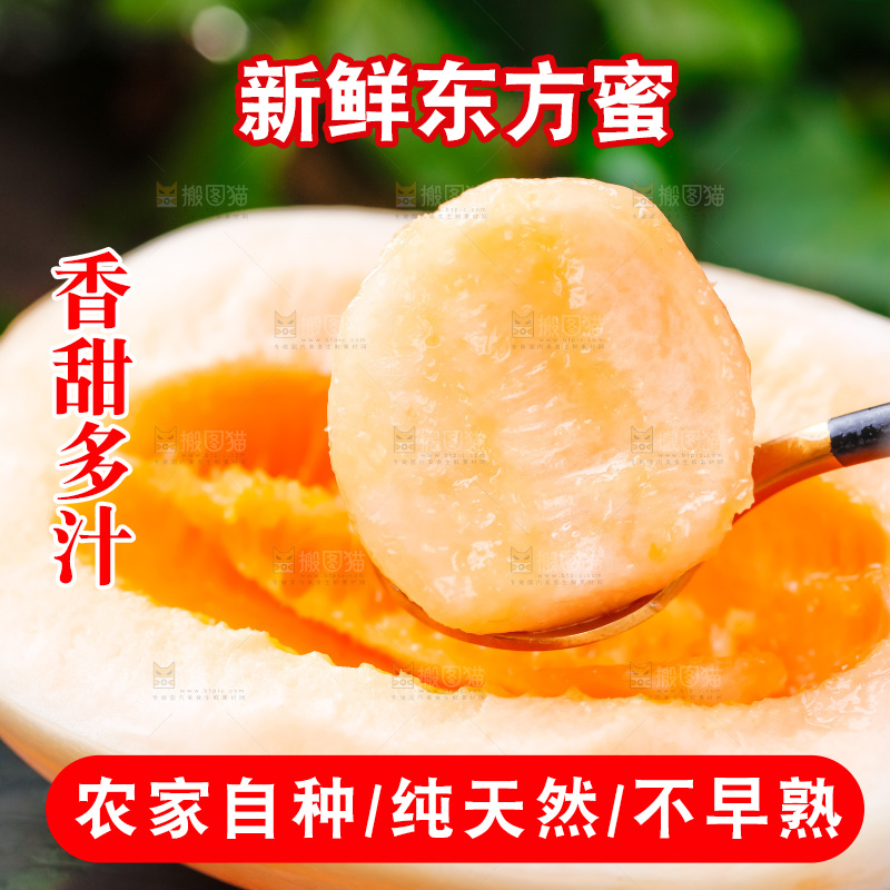 勺子里装着山东东方蜜瓜