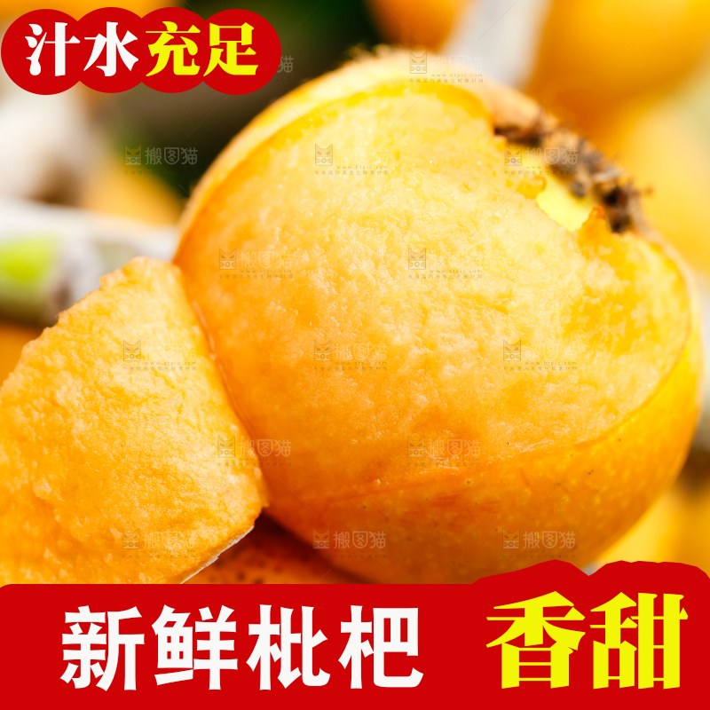 树枝上挂着枇杷