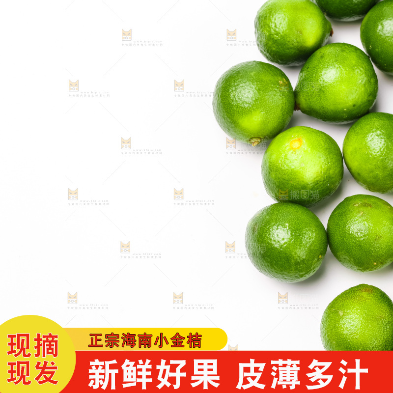 白底上摆放着小金桔