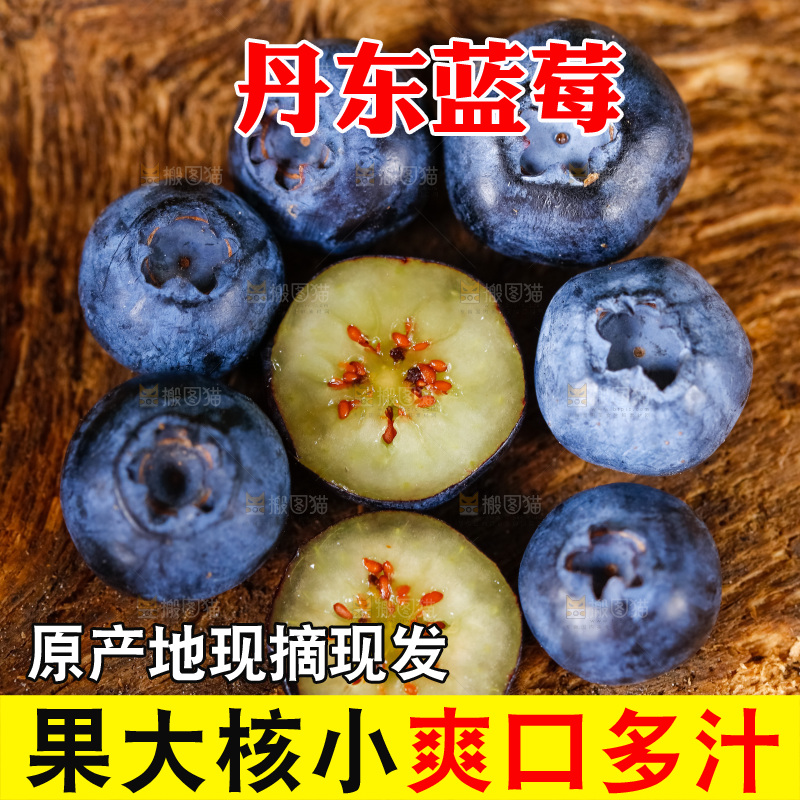 木底上放着山东蓝莓鲜果