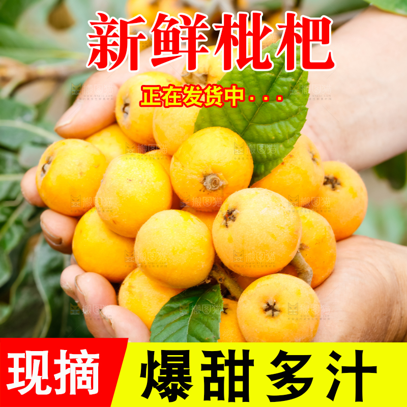 手里捧着新鲜枇杷