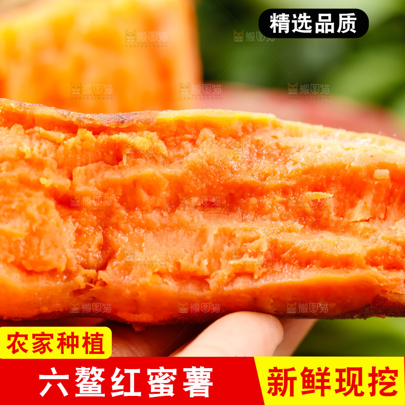 手里拿着六鳌蜜薯