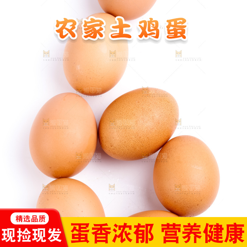 白底上放着散养鸡蛋
