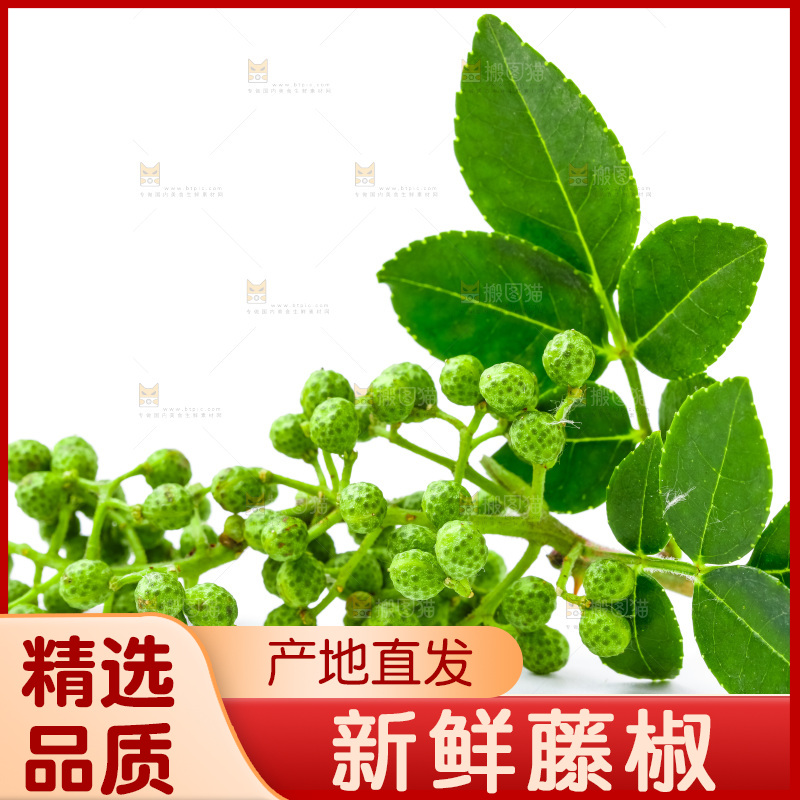 白底上摆放着新鲜藤椒