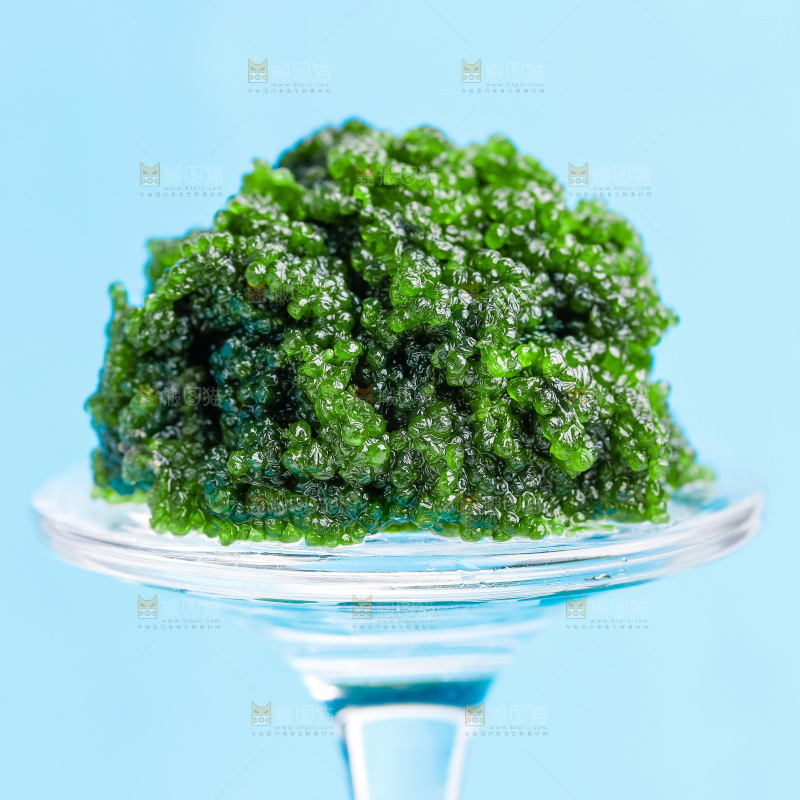 浅底上的盐渍海葡萄