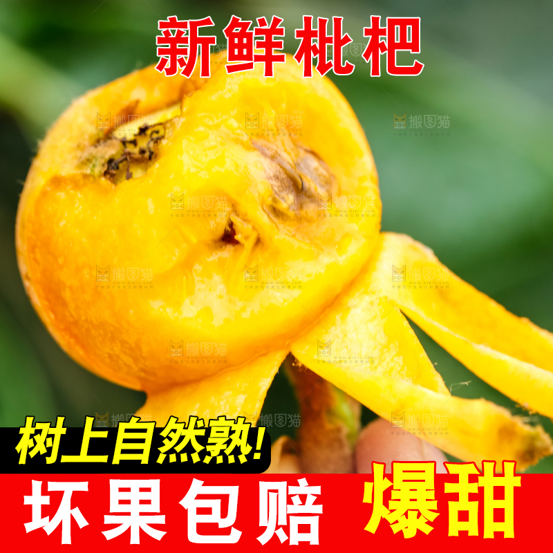 手里拿着枇杷