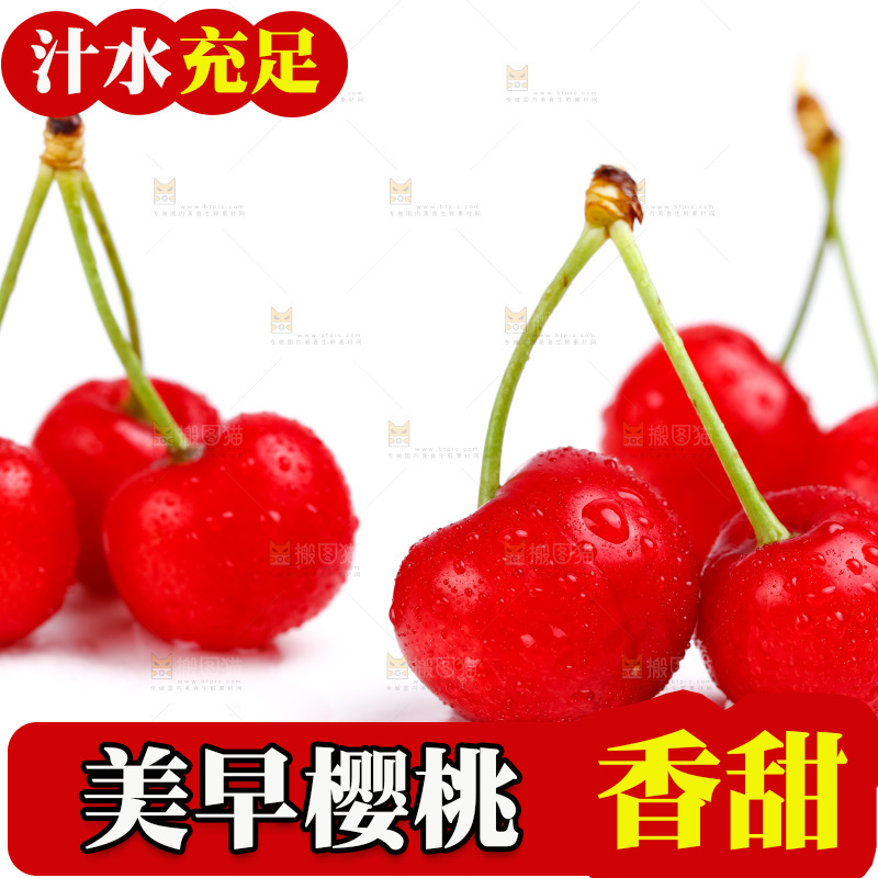 白底上的烟台樱桃