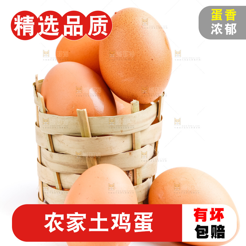 白底上放着散养鸡蛋