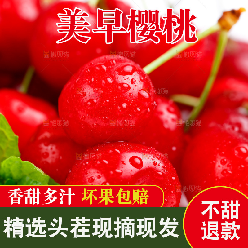 白底上的烟台樱桃