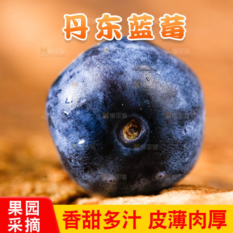 木底上放着新鲜蓝莓