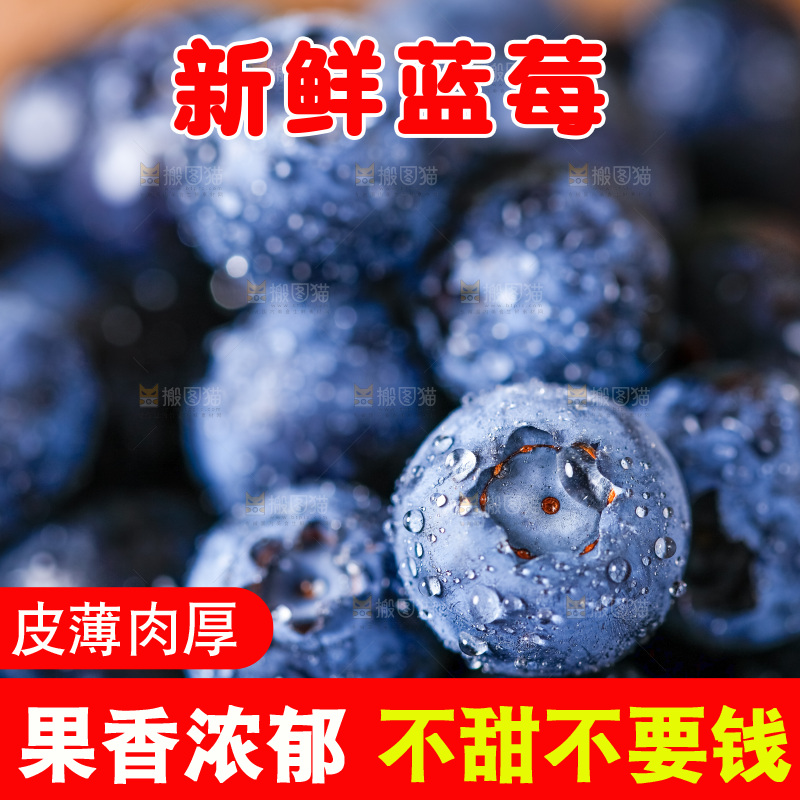 摆放着一堆的蓝莓