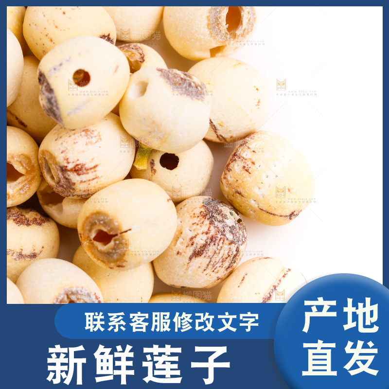 白底上的莲子