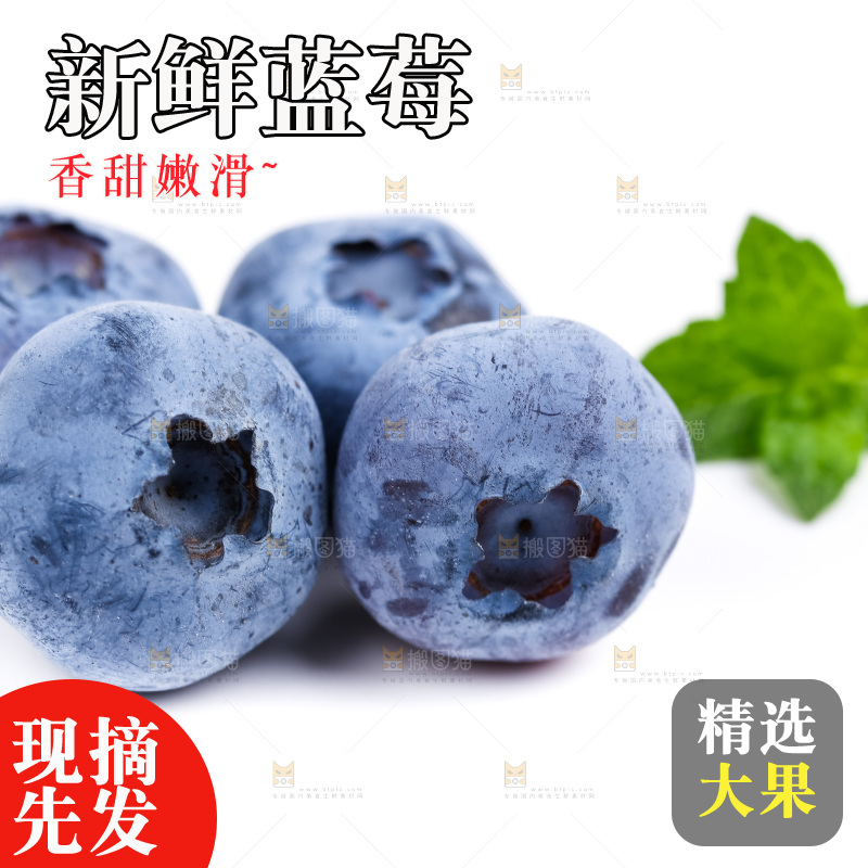 浅底上放着蓝莓果