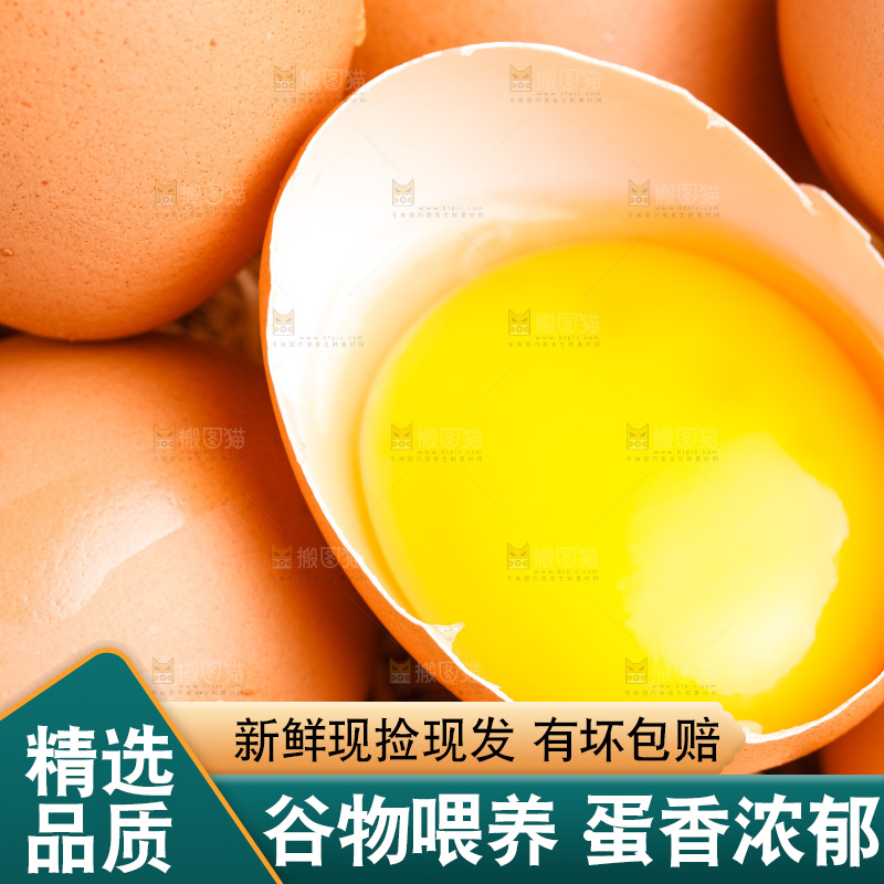白底上放着散养鸡蛋