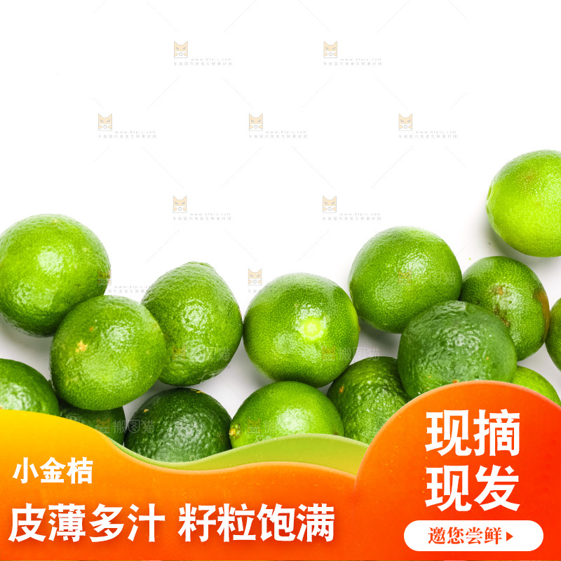 白底上摆放着小金桔