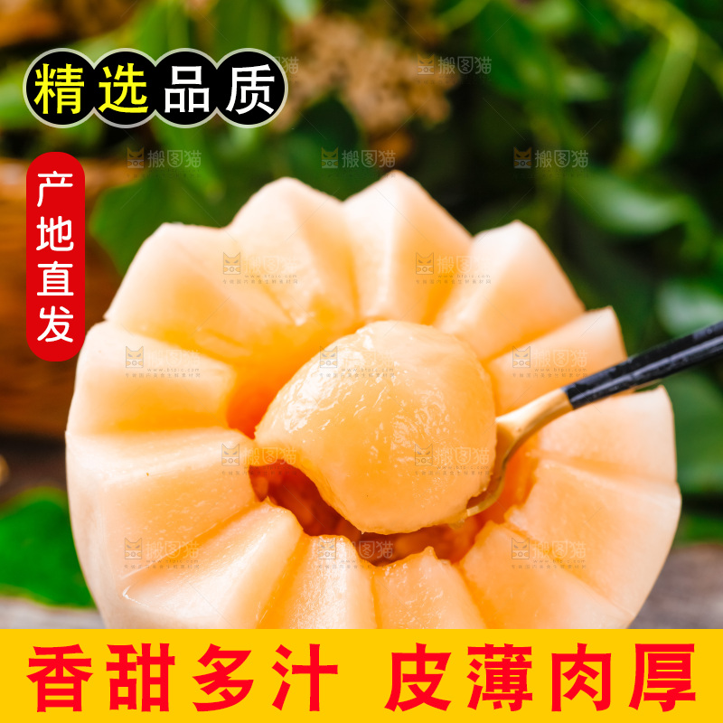 勺子里装着山东东方蜜瓜