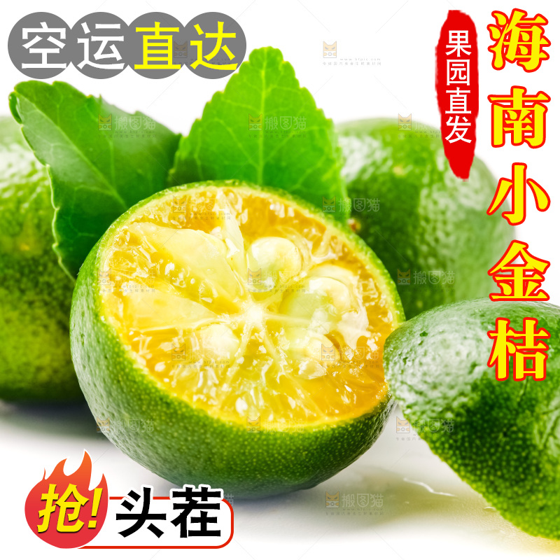 白底上放着小金桔