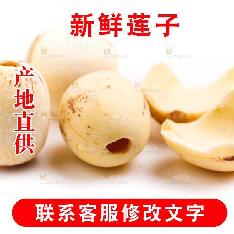 白底上的莲子
