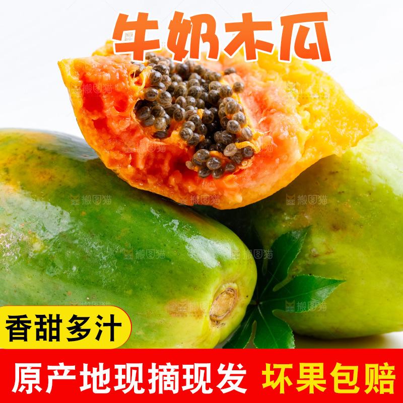 白底上摆放着牛奶木瓜