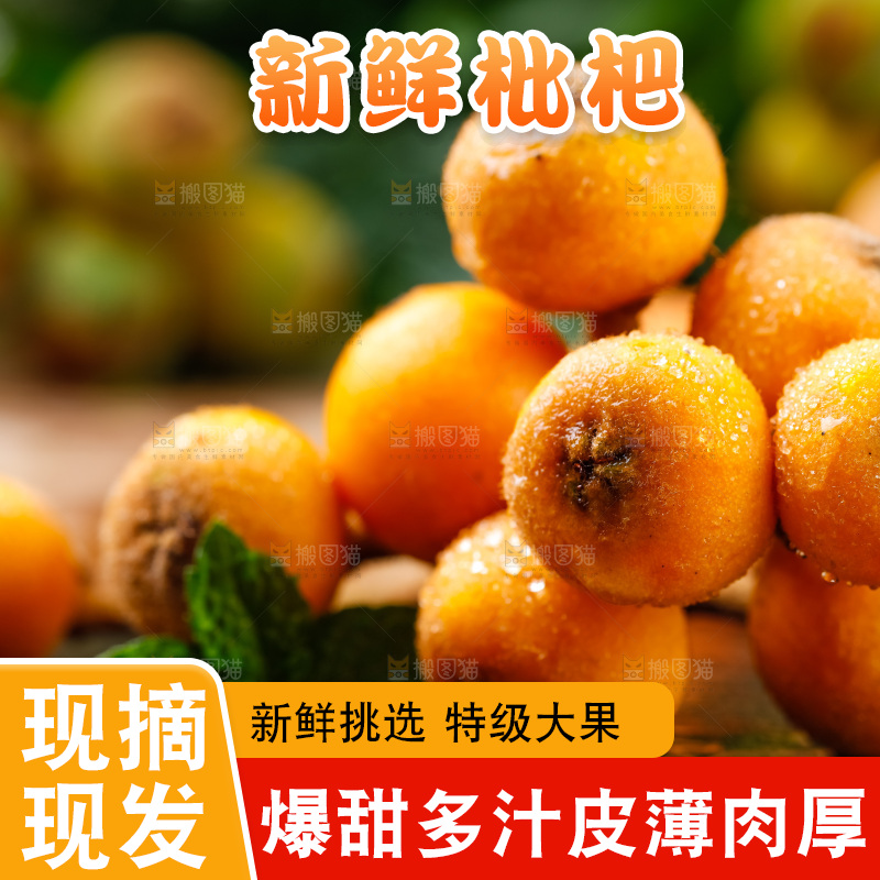 黑石板上放着四川米易枇杷