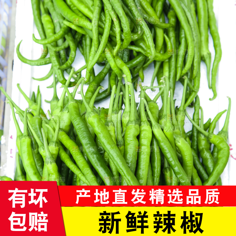 框子里装着青辣椒