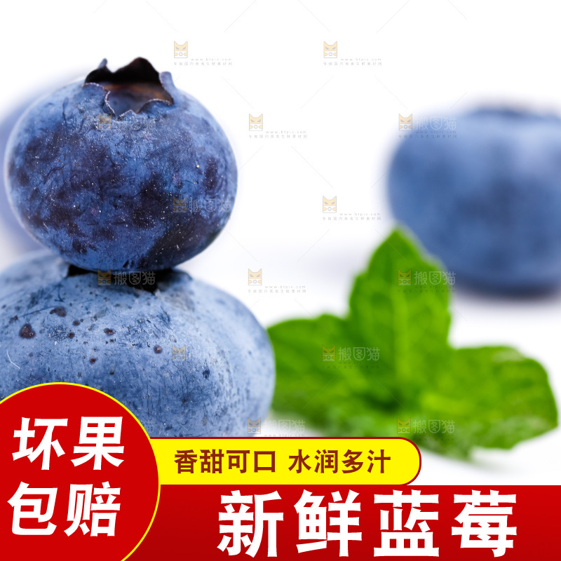 白底上放着新鲜蓝莓