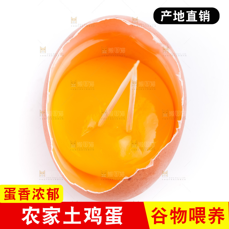 白底上放着散养鸡蛋