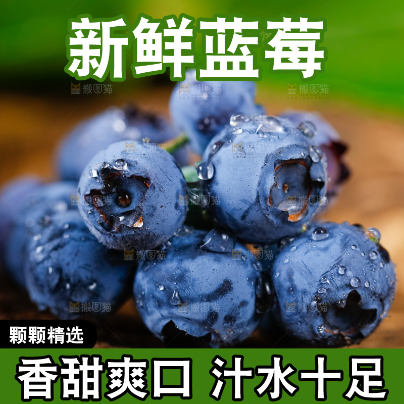 深底上摆放着蓝莓