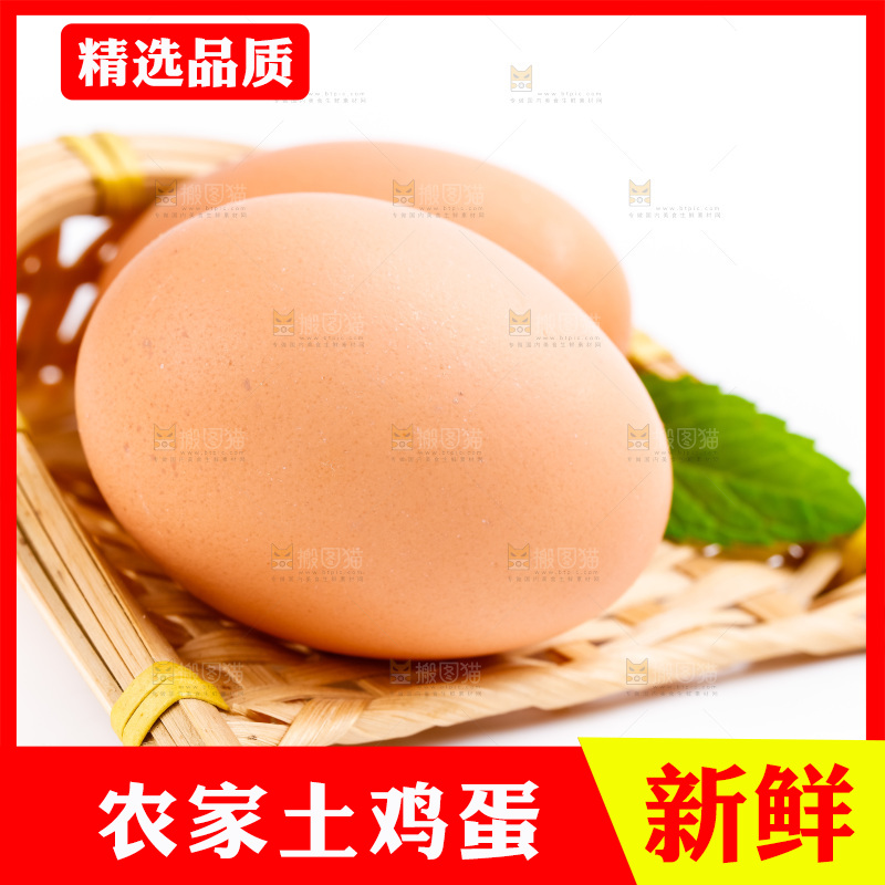 白底上的鲜鸡蛋