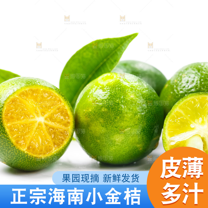 浅底上摆放着小金桔