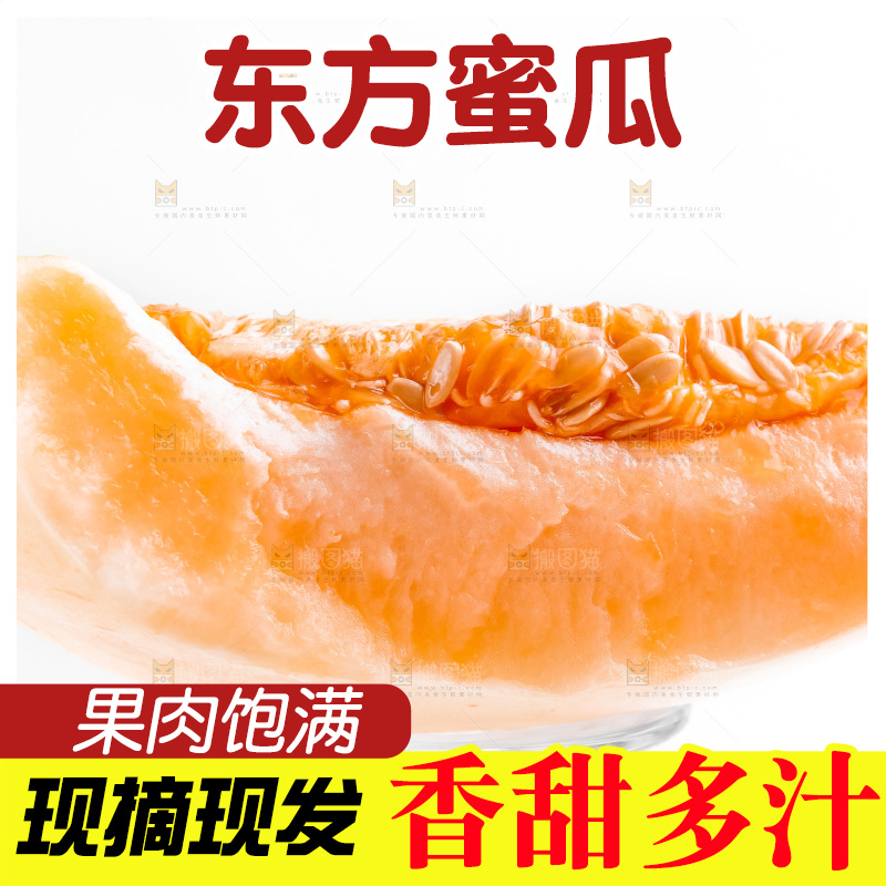 浅底上的东方蜜瓜